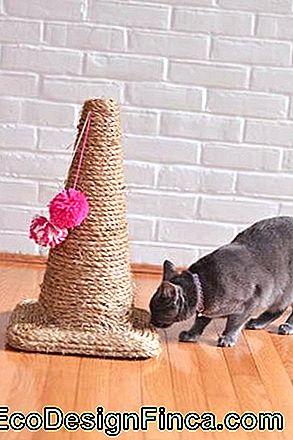 Jucarii Cat: 52 de idei uimitoare si DIY pas-cu-pas! - jucării jucărie de casă