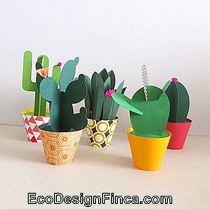 Paper Crafts: 56 geweldige ideeƫn en stap voor stap! - stap papieren cactussen