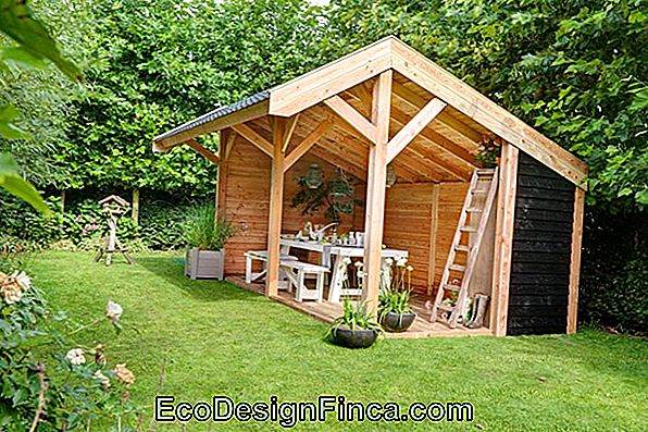 Garten Der Ideen # 12: Klettern An Den Wänden Garten Der Ideen # 12: Klettern An Den Wänden