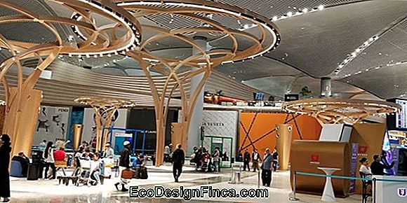 Mit Der Berechnung Von Steuern In Duty-Free-Shops Mit Der Berechnung Von Steuern In Duty-Free-Shops