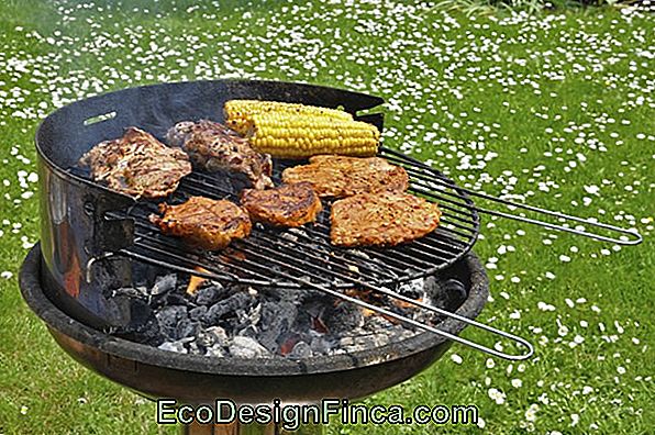 So Reinigen Sie Gas- Und Elektrogrills So Reinigen Sie Gas- Und Elektrogrills