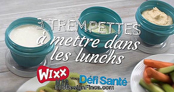 Quoi Mettre Dans La Boîte À Lunch Pour Une Alimentation Saine Trucs