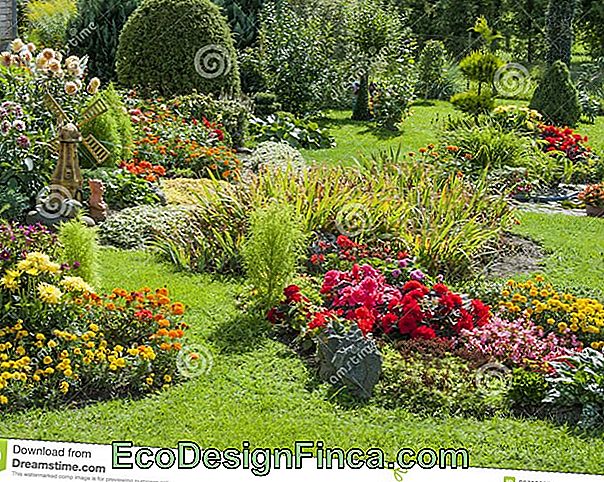 Garden Of Ideas # 17: Un Climatiseur Naturel Garden Of Ideas # 17: Un Climatiseur Naturel