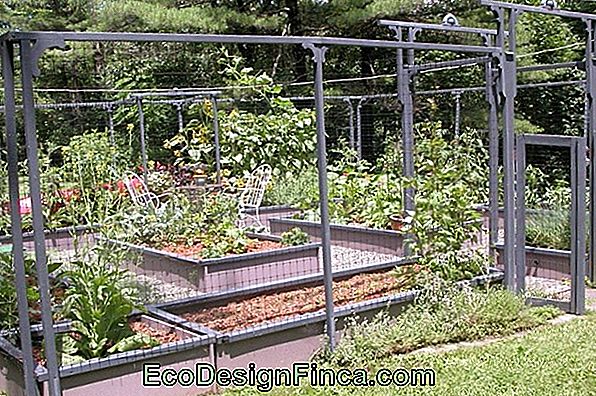 Garden Of Ideas # 21: Potager Garden Of Ideas # 21: Potager