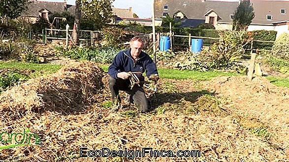 Le Potager En Hiver Le Potager En Hiver