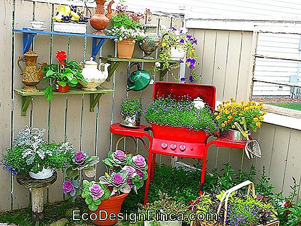 Comment Réutiliser Des Pots Cassés Comment Réutiliser Des Pots Cassés