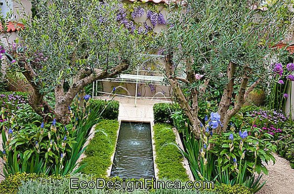 Jardin D'Idées # 20: La Terre Sur Les Murs Jardin D'Idées # 20: La Terre Sur Les Murs