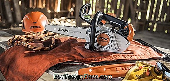 Il Est Temps De Faire Le Jardin Avec Stihl Et Carol Costa Il Est Temps De Faire Le Jardin Avec Stihl Et Carol Costa