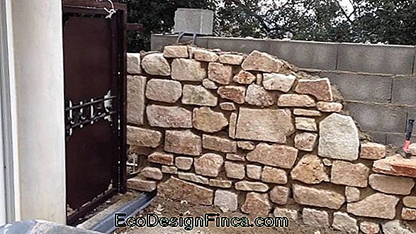 Comment Faire Un Mur Avec Des Niches Comment Faire Un Mur Avec Des Niches