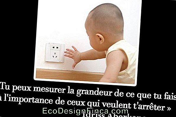 Concrete: Qu'Est-Ce Que Concreto, Comment Le Fais-Tu? Concrete: Qu'Est-Ce Que Concreto, Comment Le Fais-Tu?