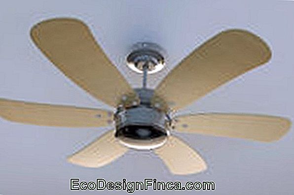 Choisir Un Ventilateur De Plafond Trucs Et Astuces