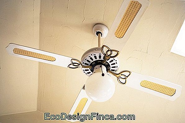 Conseils Pour Choisir Votre Ventilateur De Plafond Trucs Et Astuces