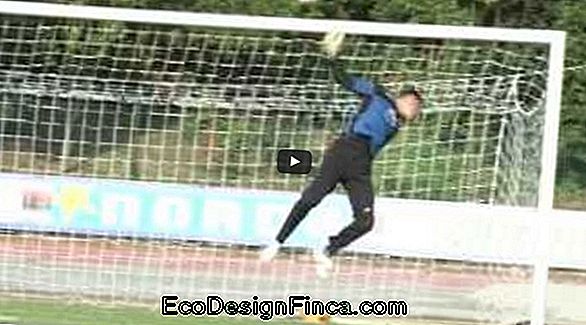 Tecnologie Vibranti Per Allenamento Sportivo Tecnologie Vibranti Per Allenamento Sportivo
