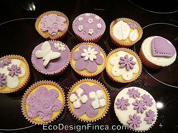 Cupcake Con Colore? Incontra Le Specie Calla Colorida! Cupcake Con Colore? Incontra Le Specie Calla Colorida!
