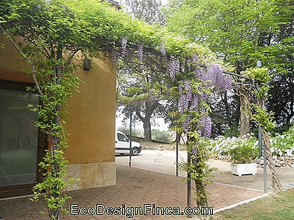 Una Finestra Piena Di Fiori Una Finestra Piena Di Fiori