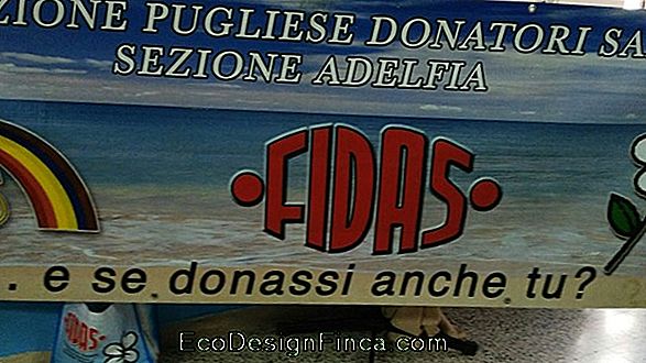 Orario Dei Documenti! Orario Dei Documenti!