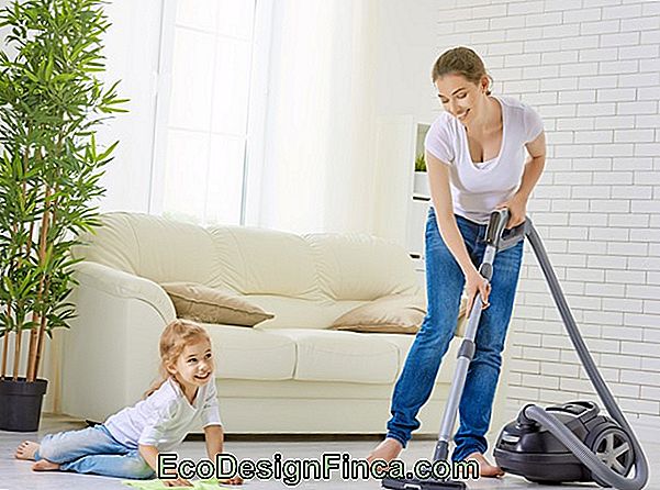 Pulizia E Famiglia: Compiti Domestici Divisi Da Tutti Pulizia E Famiglia: Compiti Domestici Divisi Da Tutti