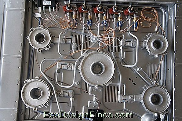 Il Piano Cottura Elettrico! Il Piano Cottura Elettrico!