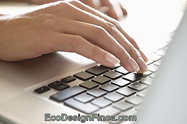 Computer Portatile E Computer, Su Internet? Come Usare I Preferiti Computer Portatile E Computer, Su Internet? Come Usare I Preferiti