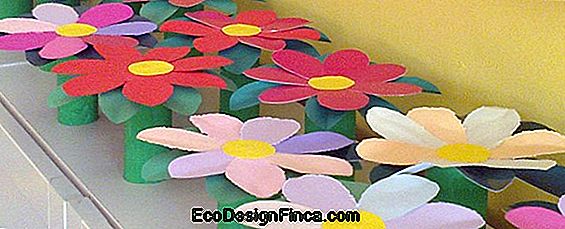Cupcake Su Color? Susipažinkite Su Calla Colorida Rūšimis! Cupcake Su Color? Susipažinkite Su Calla Colorida Rūšimis!