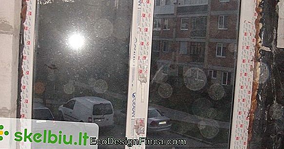 Langas Pilnas Gėlių Langas Pilnas Gėlių