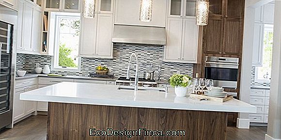 Brown House: Paint Tips, Styles En 45 Modellen Brown House: Paint Tips, Styles En 45 Modellen