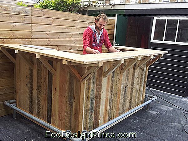 Opstelling Met Pallet Opstelling Met Pallet