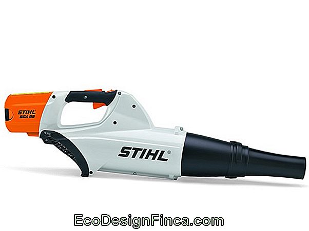 Stihl Blower - Het Is Tijd Om De Tuin Te Doen Stihl Blower - Het Is Tijd Om De Tuin Te Doen