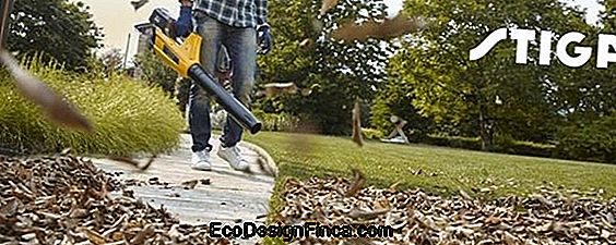 De Tuin Schoonmaken Met Blazers De Tuin Schoonmaken Met Blazers