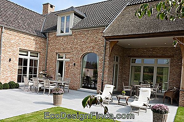 Garden Of Ideas # 18: Het Rieten Dak Garden Of Ideas # 18: Het Rieten Dak