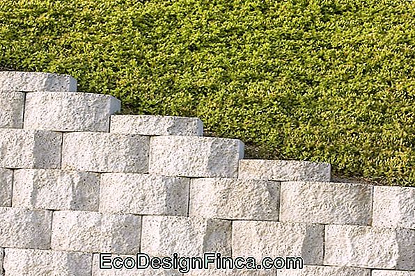 Garden Of Ideas # 20: Earth On The Walls Garden Of Ideas # 20: Earth On The Walls