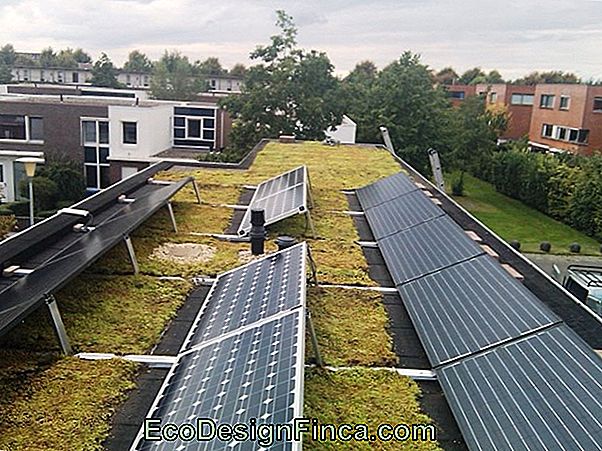 Groendak Voor Hondenhok Groendak Voor Hondenhok