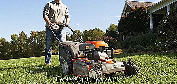 Stihl Trimmer - Het Is Tijd Om De Tuin Te Doen Stihl Trimmer - Het Is Tijd Om De Tuin Te Doen