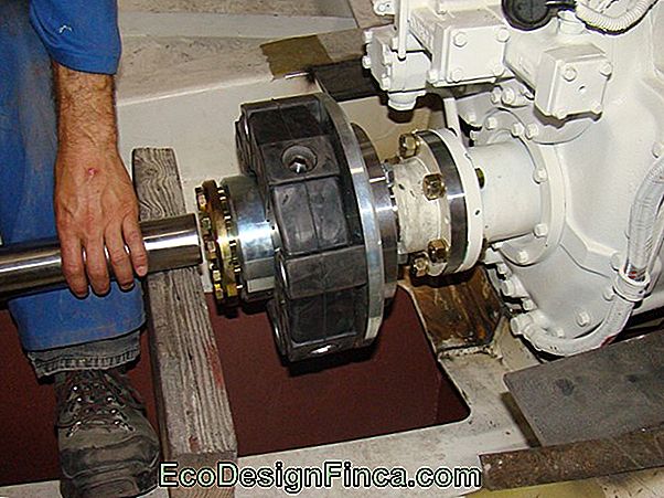 Een Andere Pomp In Dezelfde Tank Installeren Een Andere Pomp In Dezelfde Tank Installeren