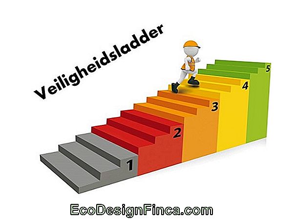 Distributienetwerk - Introductie Distributienetwerk - Introductie