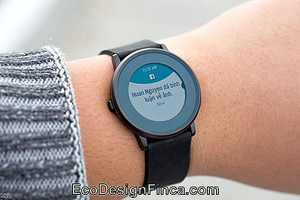 Pebble Sau Coji? Pebble Sau Coji?