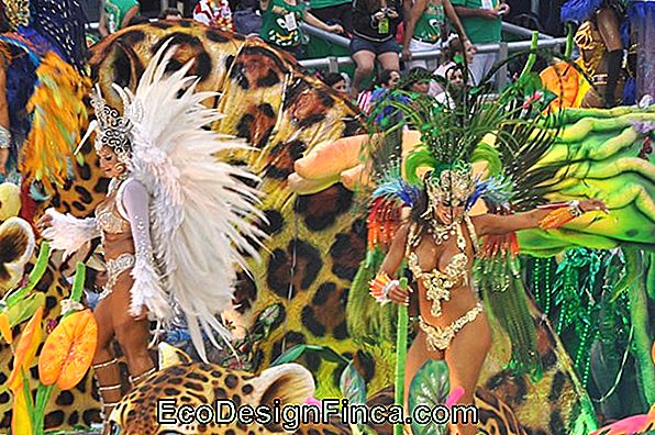 Samba: Cum Dansezi Samba În Picioare? Samba: Cum Dansezi Samba În Picioare?