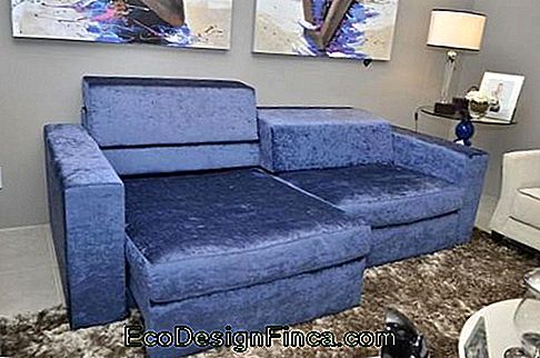 Living room with retractable blue sofa, brown rug and pictures.