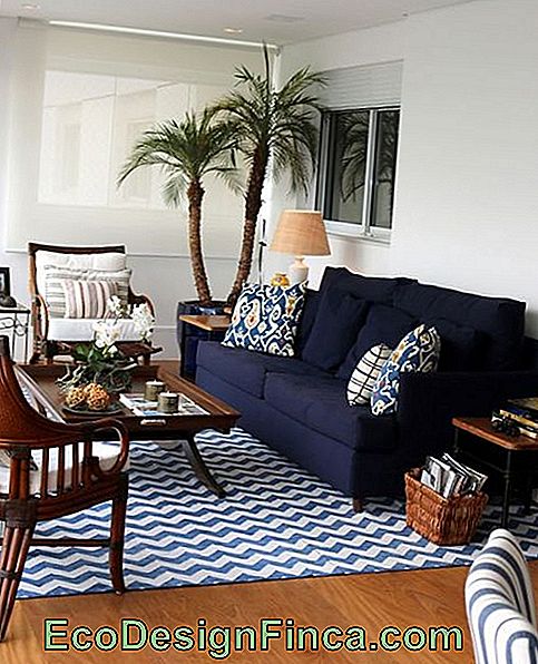 Two-seater blue sofa, combined with wooden armchairs.