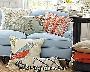 Light blue sofa with cushions with bird prints.