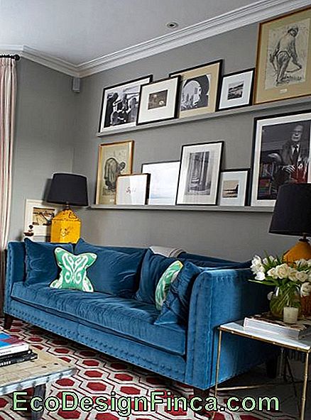 Blue oil sofa with frames on the back wall.