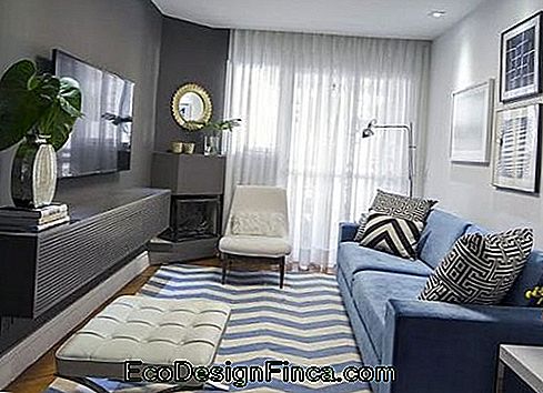 Blue sofa in living room with neutral tones and pastels.