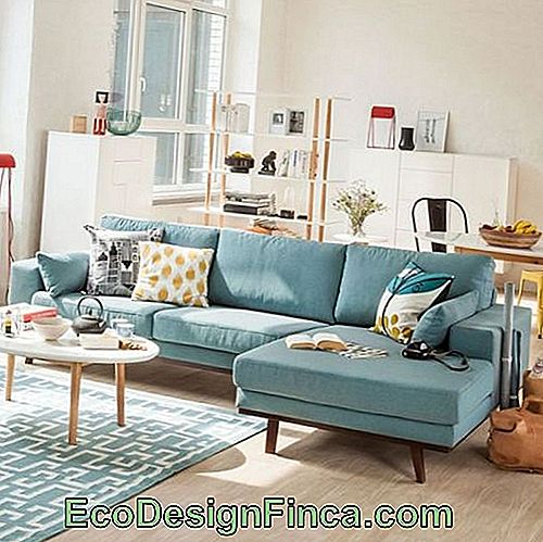 Three-seater blue sofa in the middle of the living room.