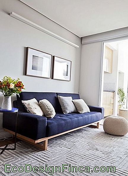 Room with neutral elements and navy blue sofa.