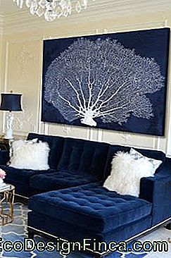 Navy blue sofa with white cushions.