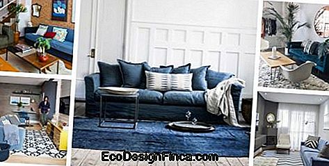 Mounting with different types of dark blue sofa.