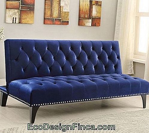 Royal blue sofa leaning against neutral wall with pictures.