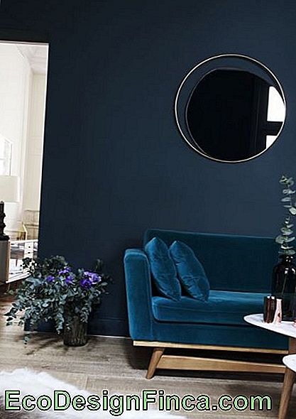 Room with dark wall and dark blue sofa.