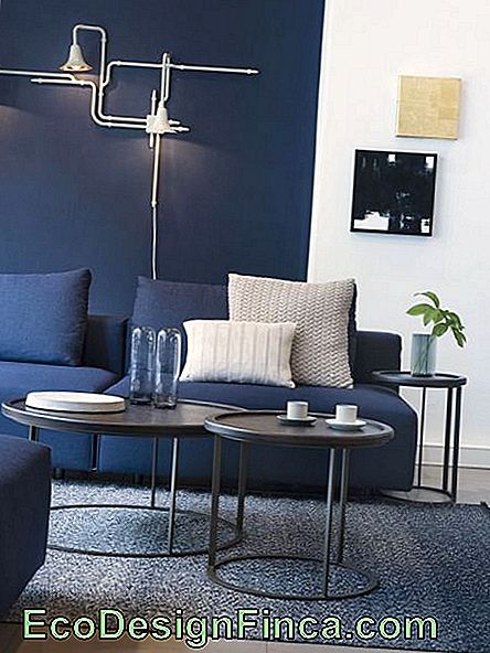 Living room with dark blue sofa and light cushions.