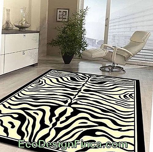 Svart og hvitt zebra print teppe